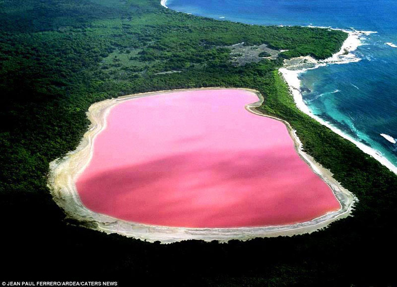 Hiller Lake Pink
