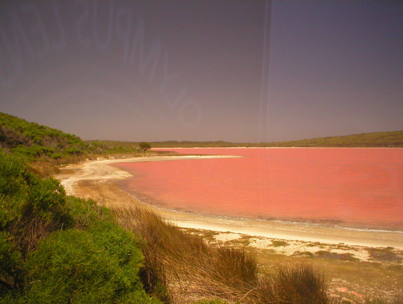 Hiller Lake Western Australia