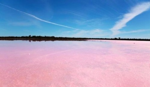Hillier Lake Australia Why Pink