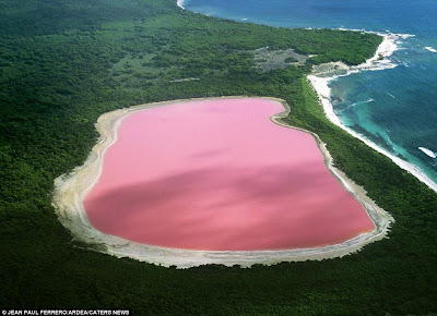 Hillier Lake Australia Why Pink