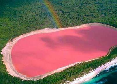 Hillier Lake Why Pink