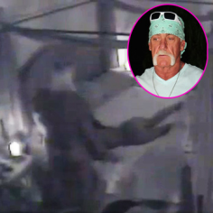 Hulk Hogan Tape Video Free