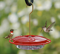 Hummingbird Feeder