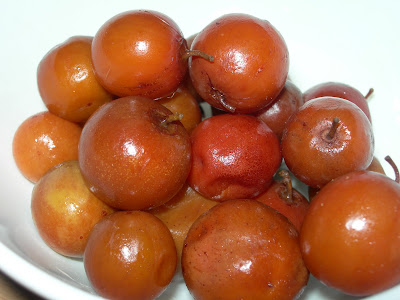 Indian Jujube Fruit
