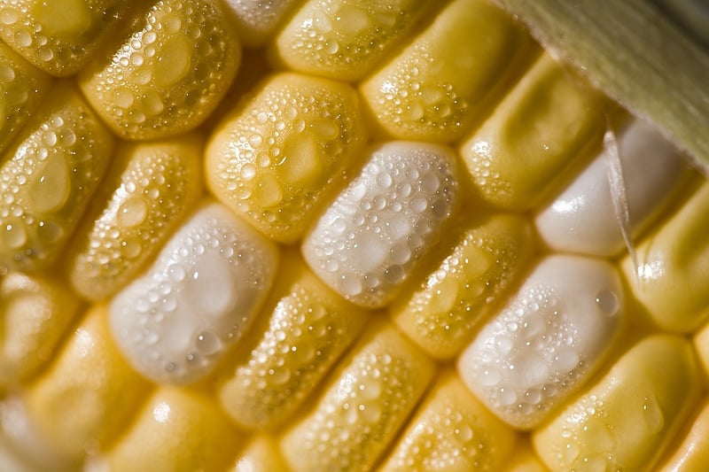 Jiffy Cornbread Recipe With Corn