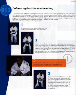 Jiu Jitsu Techniques Pdf