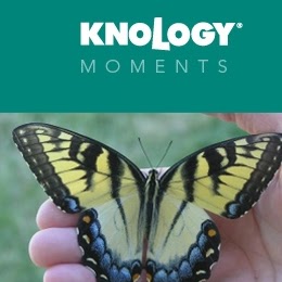 Knology Channel Guide Panama City