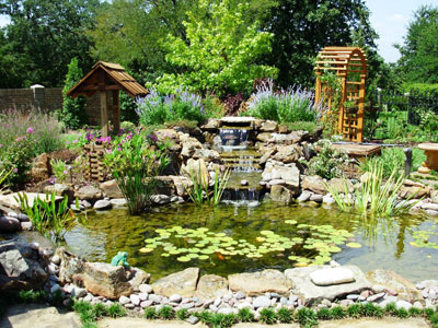 Koi Fish Pond Garden