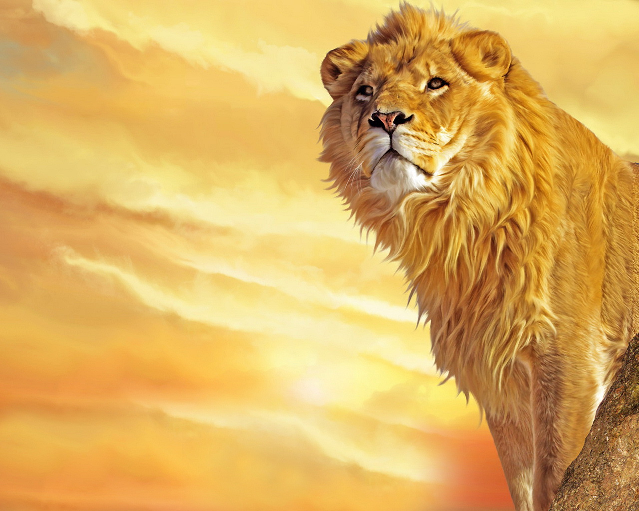 Lion Wallpaper Desktop