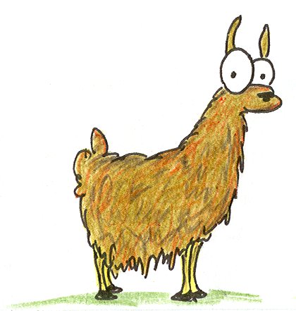 Llama Cartoon Pictures