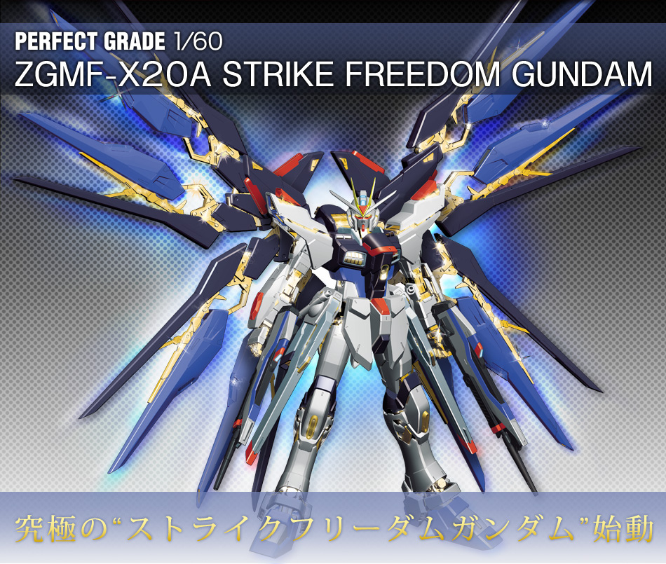 Mobile Suit Gundam Seed Destiny Freedom