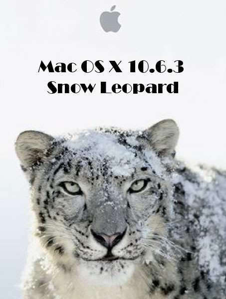 Snow Leopard Disk Utility Download