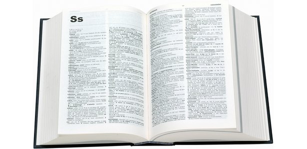 Webster Dictionary Citation