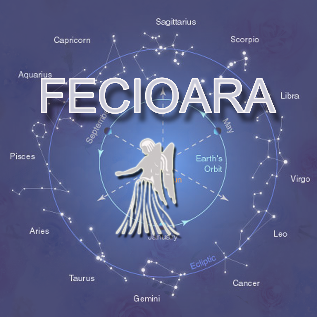 Zodia Fecioara Caracteristici